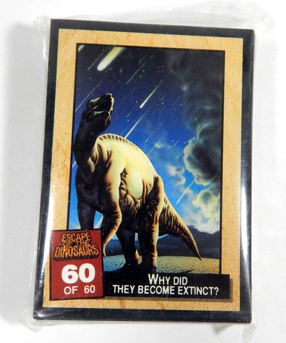 1993 dynamic marketing escape - dynamic,